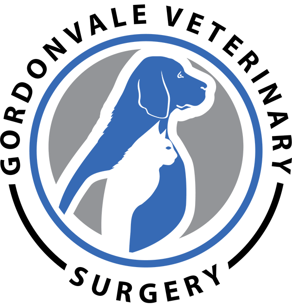 Gordonvale Veterinary Surgery logo
