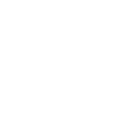 white icon of two bones coming together next to a medical symbol