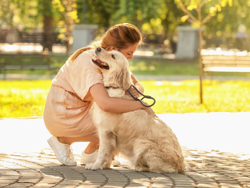 A person is hugging their dog in a park