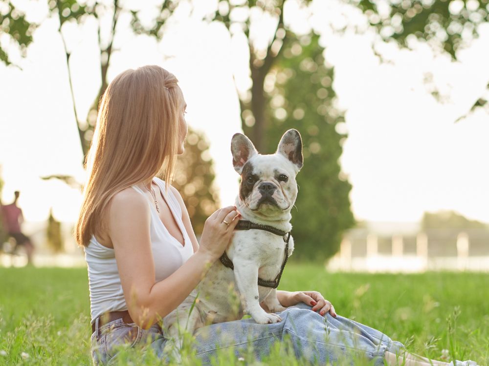 A person is sitting in the grass with their dog
