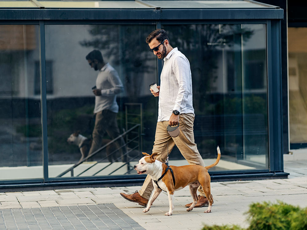 man wearing sunglasses walking his dog to the vet